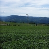 福岡県八女市に移住しました