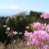 【犬連れ日帰りドライブ】【山北つぶらの公園】【大野山】神奈川県 山北町