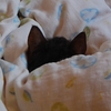 埋もれています