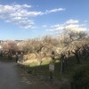 梅林公園