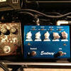 Bogner Ecstasy Blue Pedal うぇ〜い