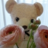 2 月のお花事情