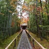 参道と楓の庭の紅葉が有名な大徳寺・高桐院の見所は？ (Kyoto, Daitokuji, Koutouin)