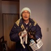 猫なんかよんでもこない。