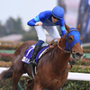競馬初心者必見☆馬券予想🔥〜フェブラリーS〜王者不在のダートG1で新王者誕生！