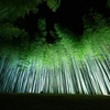 夜景評論家・丸々もとおプロデュース 若竹の杜 若山農場で『Bamboo Winter Lights 2020～光が愛でる、美しき竹夜の世界』がスタート！