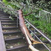 9月は台風