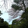 KAIKOOに行ってきたよー（その2）