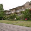 お昼の散歩　静まり返った作業場　屋上のブルーベリー　オオキンケイギク