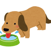🐶犬が水を飲まない…どうする？水分補給を嫌がる時の対策＆おすすめグッズまとめ【夏の熱中症対策】