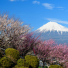 富士川ロケハン