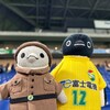 ペンギンたちのウキウキスタジアムライフ (吹田サッカーその2)(695)