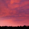 夕焼け。