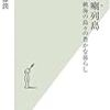  斎藤 潤 吐カ喇列島 (光文社新書 365)