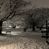 雪の日はみぞれ鍋で