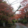 筑波山神社･温泉街周辺の紅葉