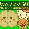 犬のてんかん発作、脳を守るためにできること