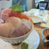 気軽に行けちゃう小田原！小田原漁港で美味しい海鮮ランチ＆生命の星・地球博物館へ