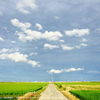 空　三重県鈴鹿市