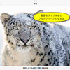 iOS7の壁紙設定で画像が拡大してしまう問題を回避する方法