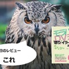 本のレビュー[31] 「モラハラ夫＆DV夫の「怒り」「イライラ」を消す方法」モラハラは解決が可能を断言