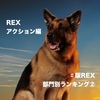 海外ドラマレビュー☆🇨🇦版セントジョンズREX 部門別ランキング② REXアクション編☆第3位~5位