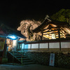 奈良・大野寺の小糸しだれ桜ライトアップ