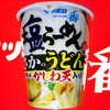 麺類大好き1616サンヨーサッポロ一番塩らーめんタテビッグまさかのうどん!?