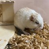 くるみあん636日目