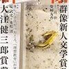 蜂飼耳「紅水晶」（『群像』2007年6月号所収）