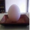 卵を立てる　現量