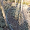 太田 庭園鉄道 建設記 その６１　杉の伐採時に上から見たレイアウト 