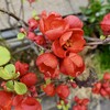 隠微というか