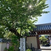 【奈良とようけのもり🌳再び】自然に癒される一棟貸し切り宿🏡奈良旅🚙