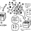 「現学」とは何か