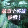 【FEH】紋章士召喚・響きの召喚士 参戦！