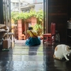 Bangkok Noi ー運河沿いの宿『Siamotif Boutique Hotel』に泊まる
