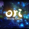 Ori and the Blind Forest　終了