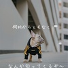 自然が乱れると美も乱れる。髪と地球の共通点について