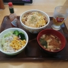 【沖縄生活】7月はじめに行ったすき家|日本語教師の仕事をやめた話