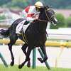 八重山そばと２歳新馬