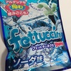 フェットチーネグミ ソーダ味