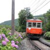 さらば箱根登山鉄道吊りかけ電車103-107号とあじさい