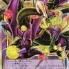 一番強いと思う"四天の龍"は？【アンケート】