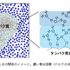 じじぃの「科学夜話・細胞膜・H結合・水和するタンパク質！水の神秘」