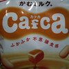 カフカ（ｃａｆｃａ）／ＬＯＴＴＥ