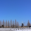 あけぼの山公園（梅園など）