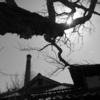 小さな町で