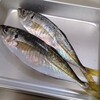 真アジ・飯蛸・鶏鍋