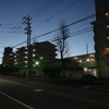 朝散歩